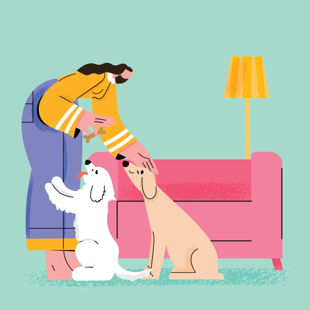 Gab portfolio - Packaging